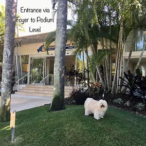 Luxury Apartment